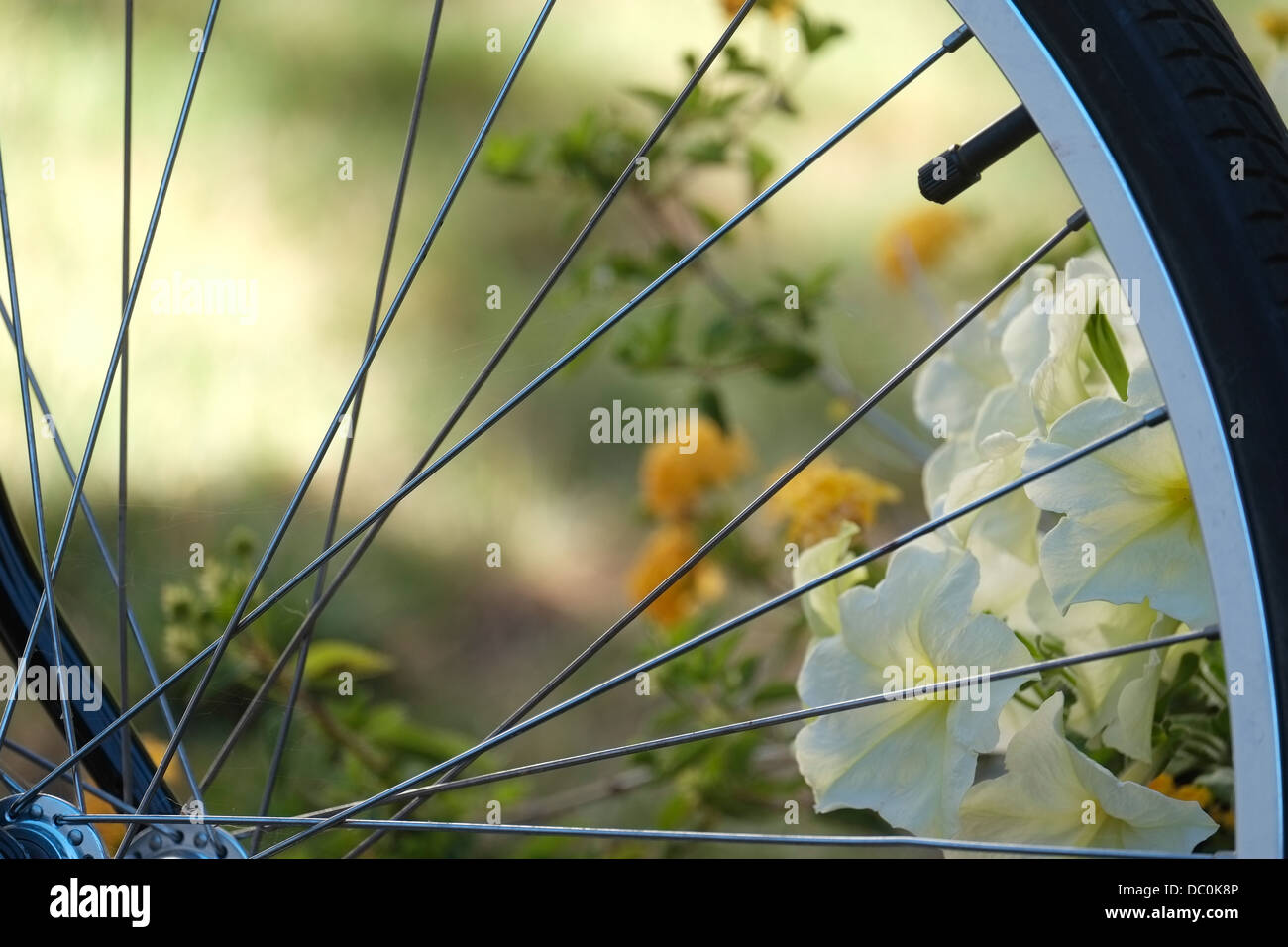 Bicycle wheel and flower garden Stock Photo - Alamy