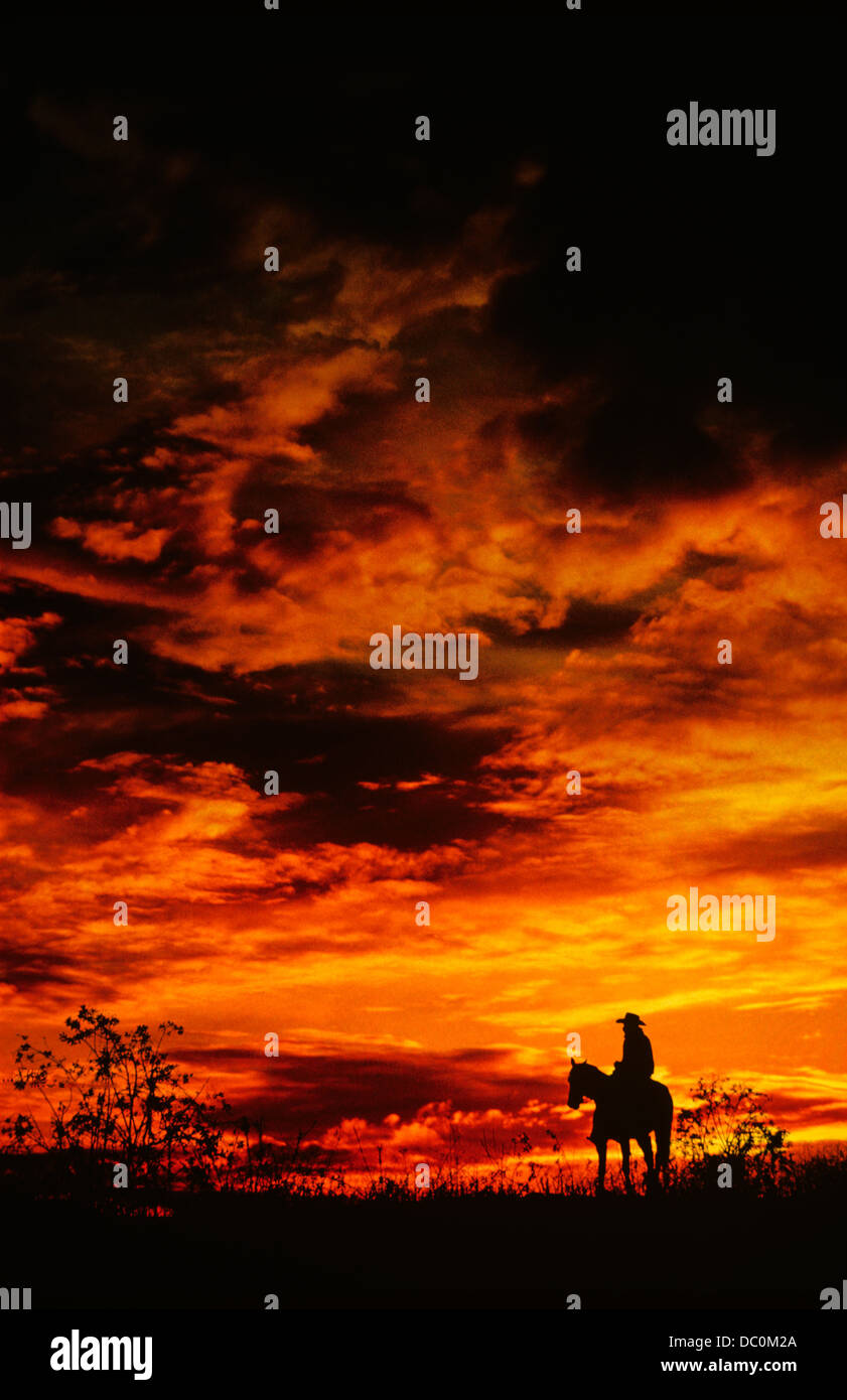 MAN ON HORSE Stock Photo - Alamy