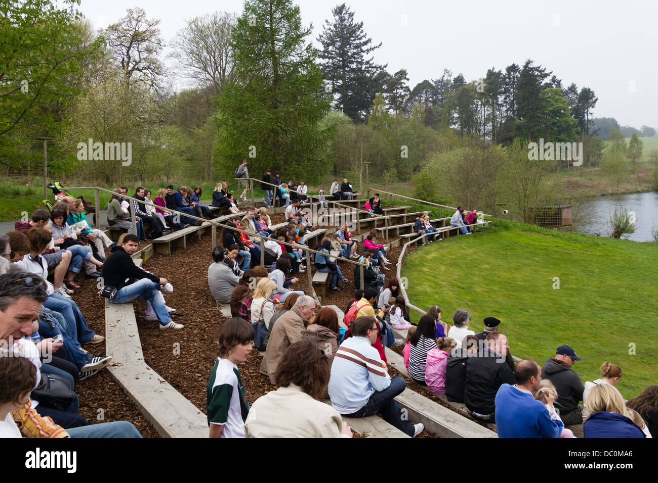 People on wooden benches at the Birds of Prey show at the Blair Drummond safair park, stars large birds such as eagles, vultures Stock Photo