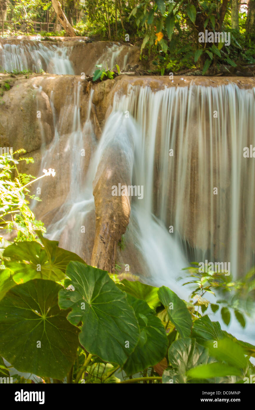 Picture taken in Chiapas, Mexico Stock Photo Alamy