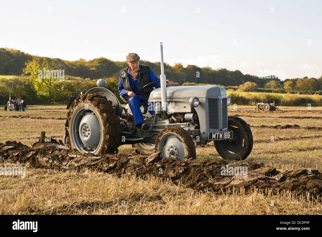 vintage 1947 massey ferguson tractor at ploughing match demonstration competition Stock Photo