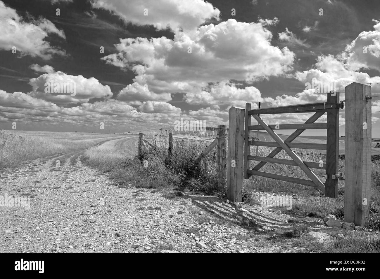 Landscape view of the South Downs Way leading to Castle Hill Nature Reserve, East Sussex