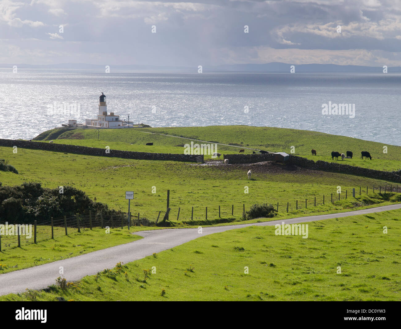 Black Head from Killantringan Stock Photo - Alamy