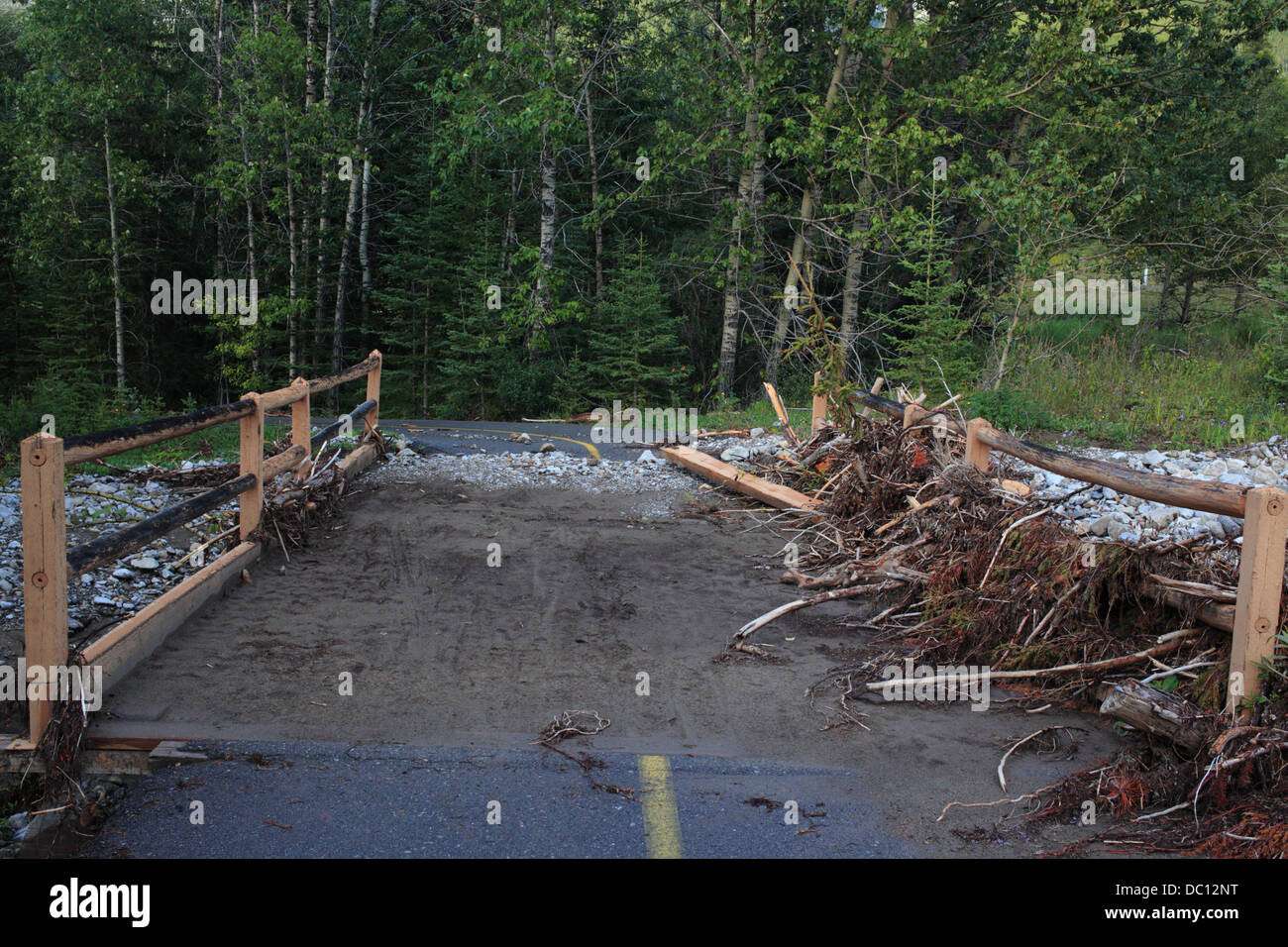 Flooded bridge with silt and drift wood in Kananaskis Country. Stock Photo