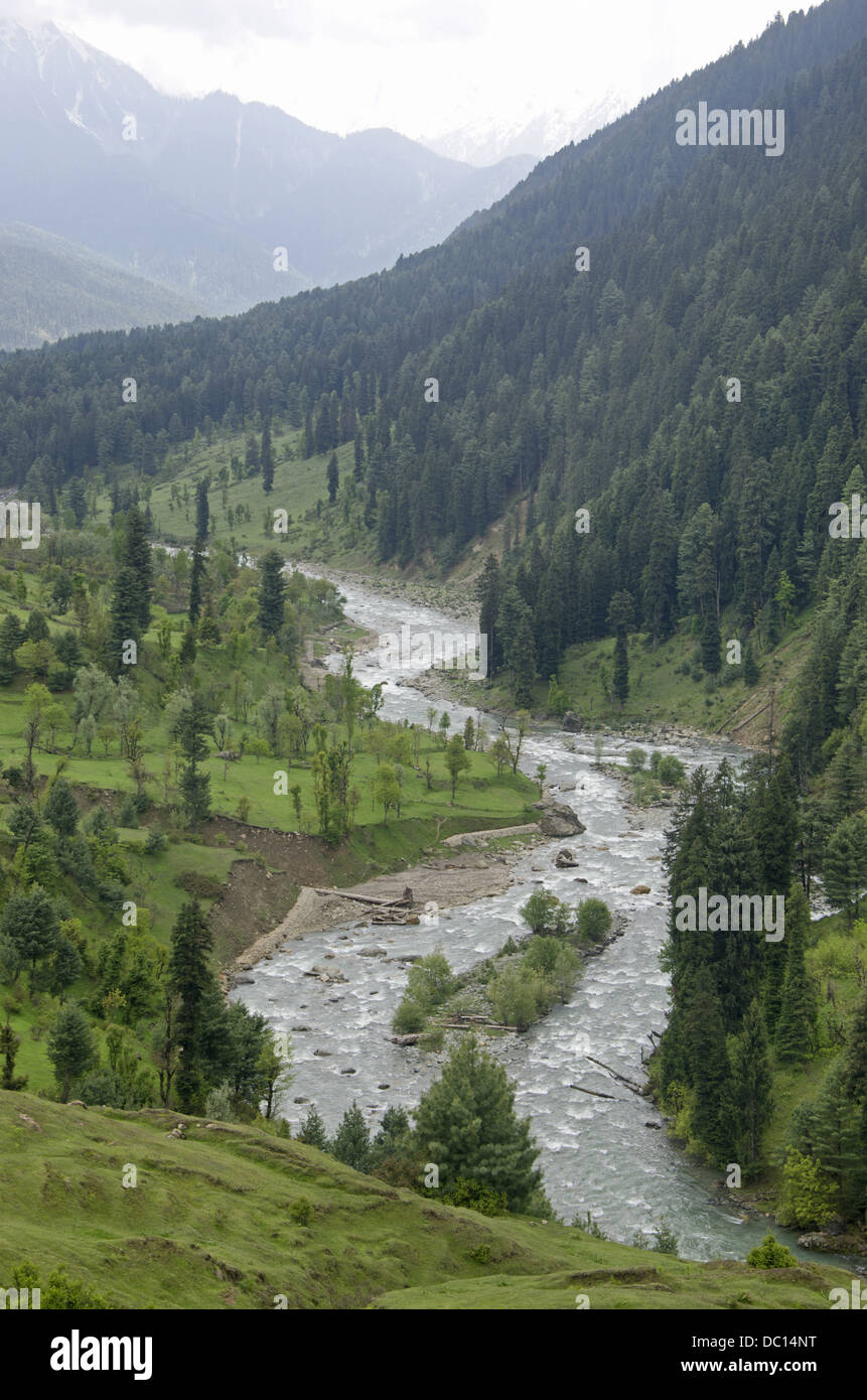 Lidder river on the way to Pahalgam, Jammu & Kashmir, India. Stock Photo