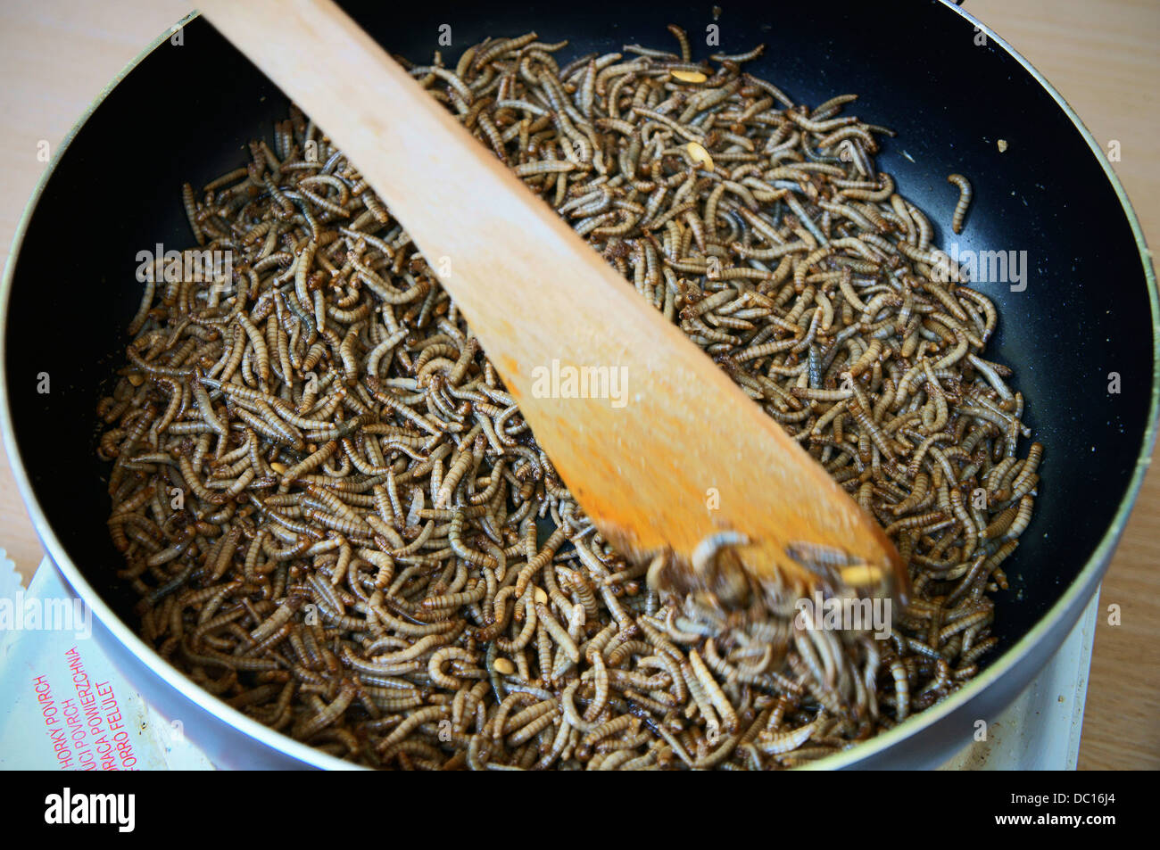 unusual insect dishes, Tenebrio molitor, larva, mealworm Stock Photo ...