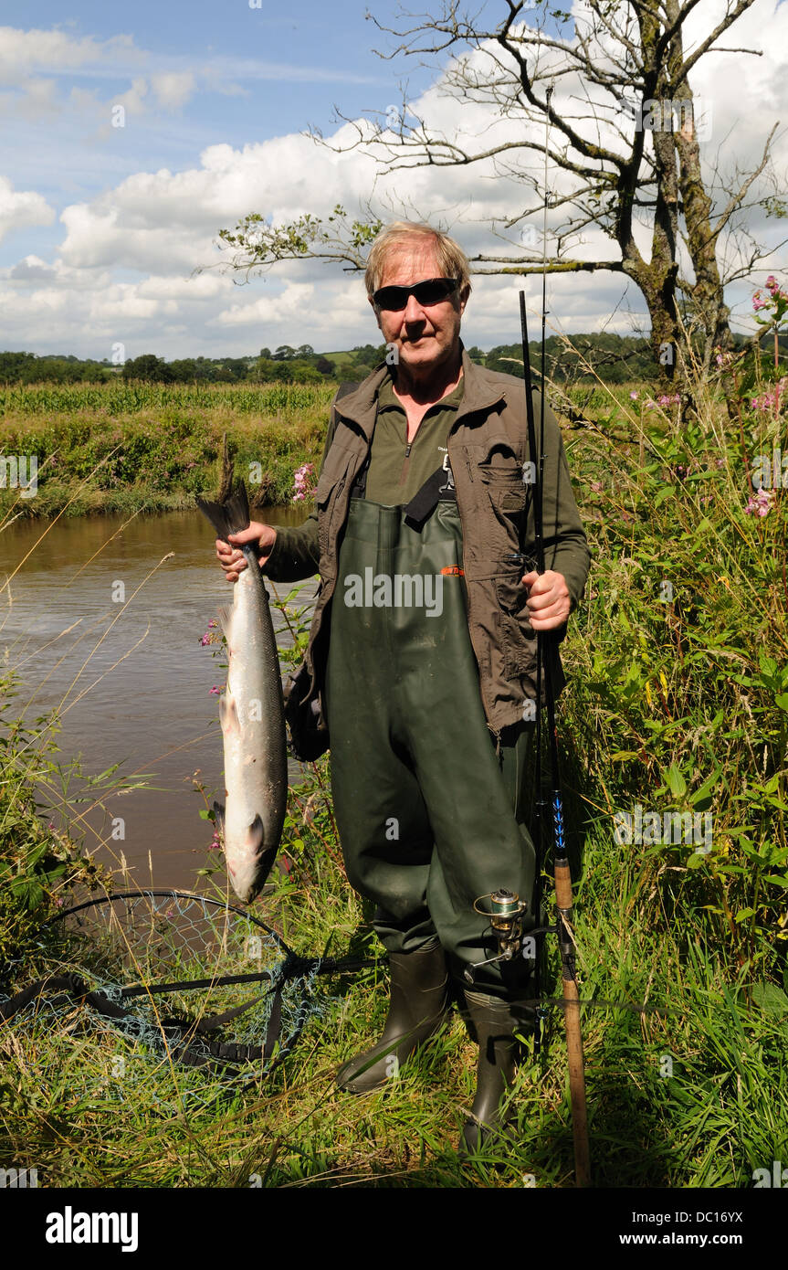 Fisherman angler holding a  a salmon caught in the Towy Tywi River Carmarthenshire Wales Cymru UK GB Stock Photo