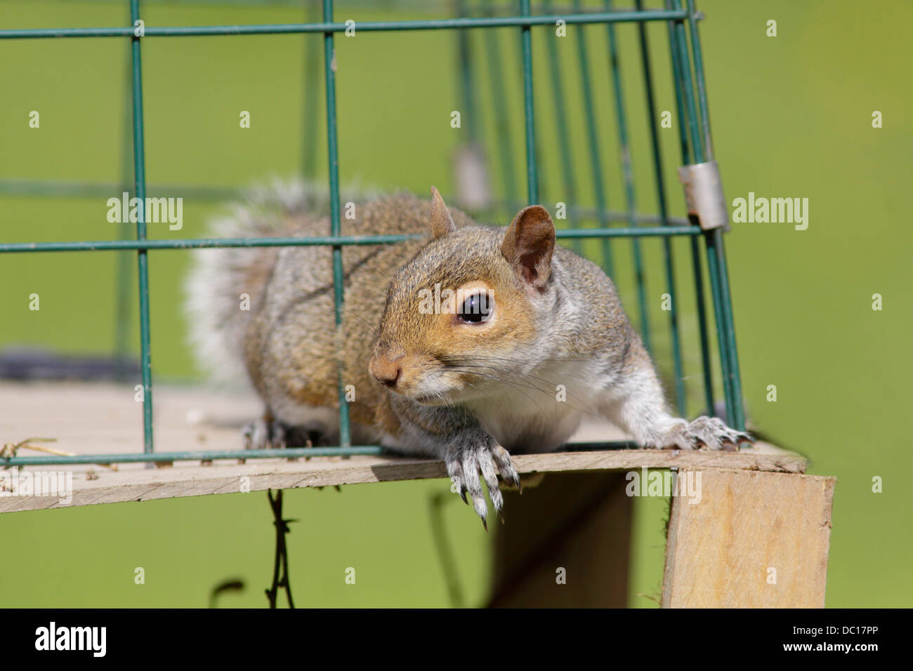 Not_wanted hi-res stock photography and images - Alamy