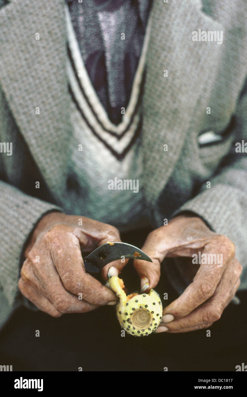 Cactus fruit. Santoríni. Greece Stock Photo Alamy
