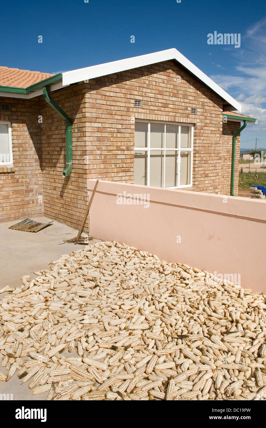 South Africa, 7 May 2010. Drying corn at a home in R-Moode settlement. Stock Photo