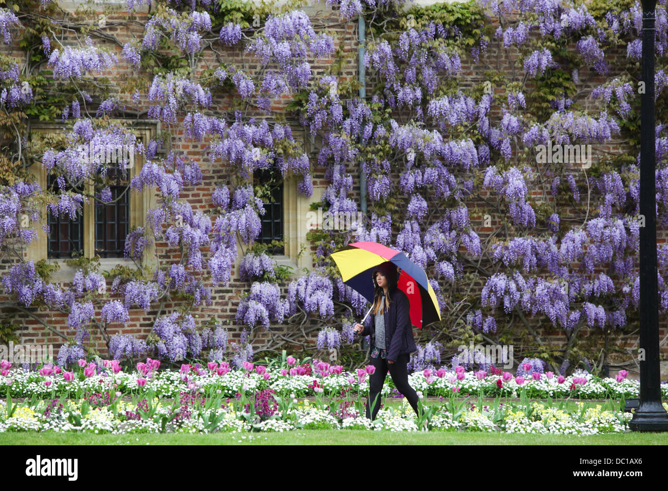 CAMBRIDGE UNIVERSITY STUDENT UNDER A UMBRELLA BY WISTERIA Stock Photo