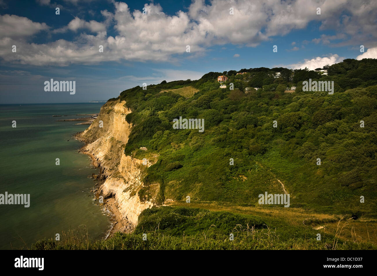 Hastings Country Park Nature Reserve, East Sussex, UK Stock Photo - Alamy