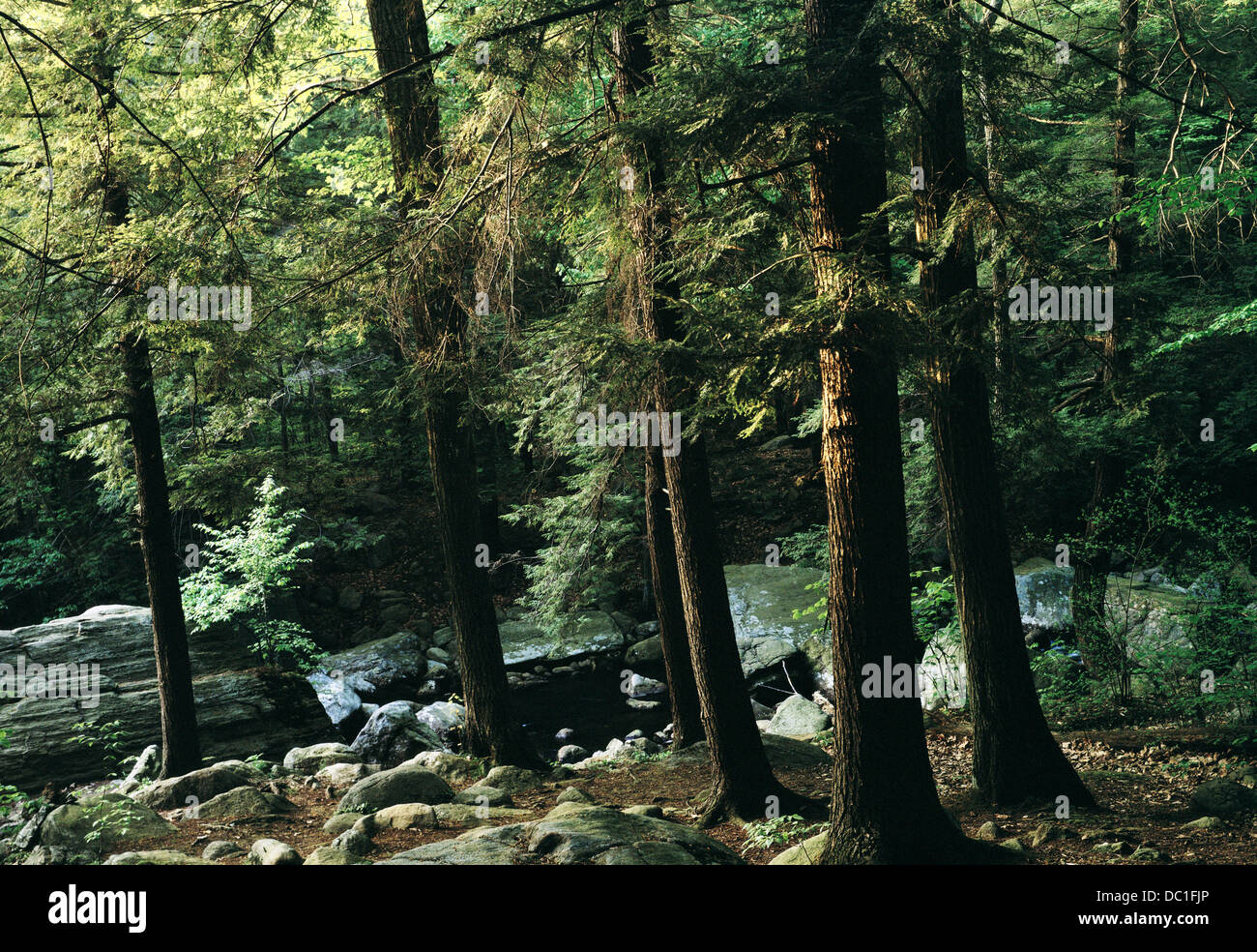 Harriman State Park. Near Tuxedo. New York. USA Stock Photo Alamy
