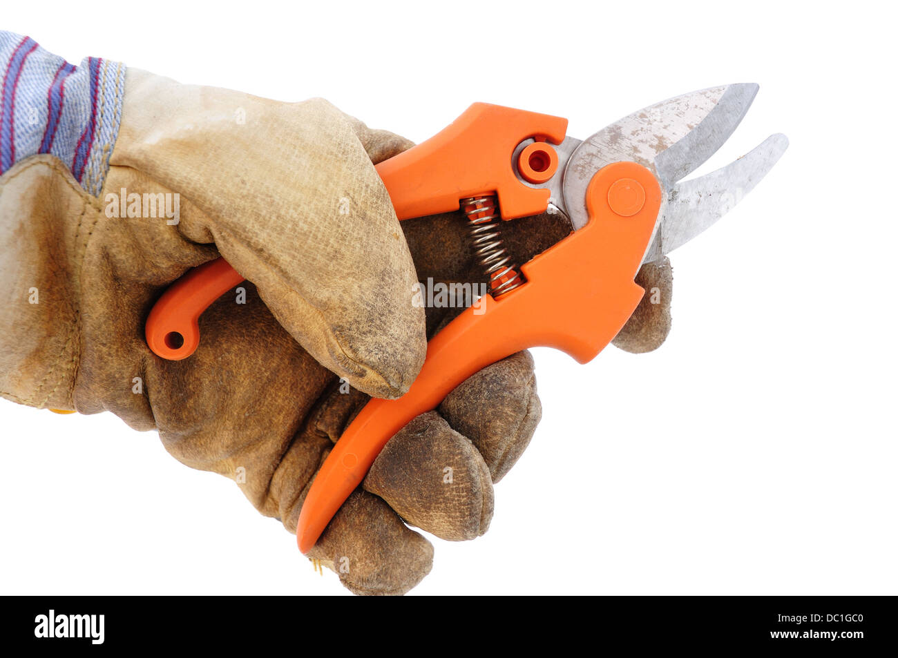 Secateurs or pruning shears on a white background Stock Photo