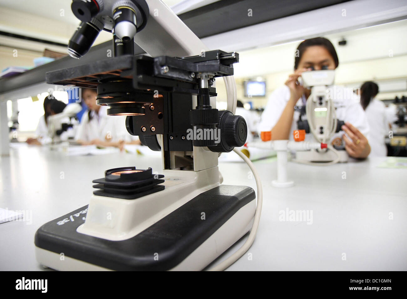 female students in laboratory course Stock Photo Alamy