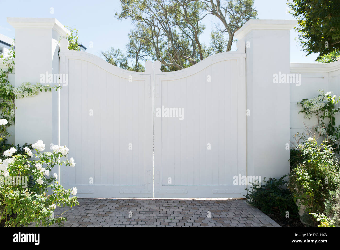 White gate Stock Photo