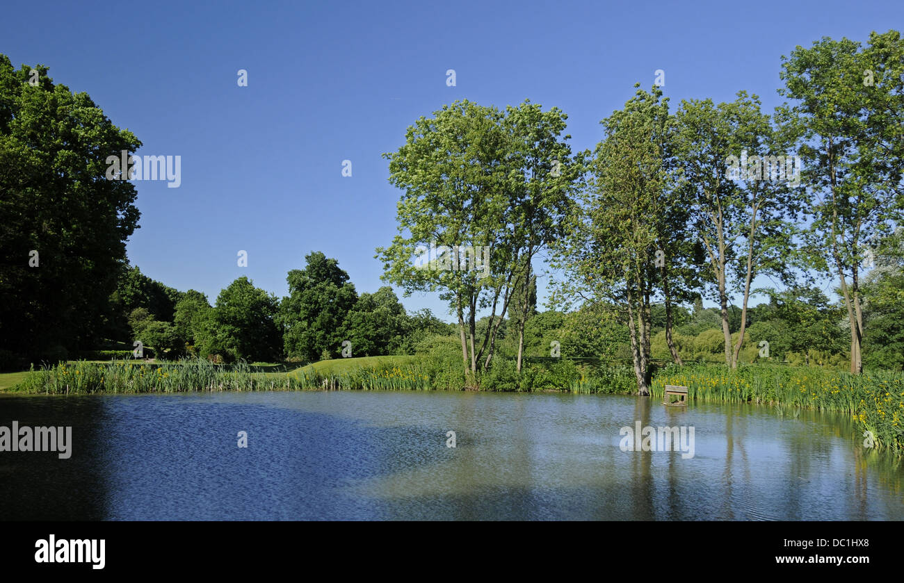 Pond on Sundridge Park Golf Course Bromley Kent England Stock Photo