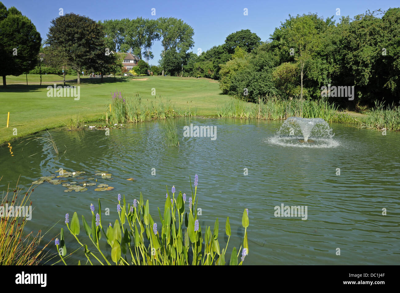 Pond on Sundridge Park Golf Course Bromley Kent England Stock Photo