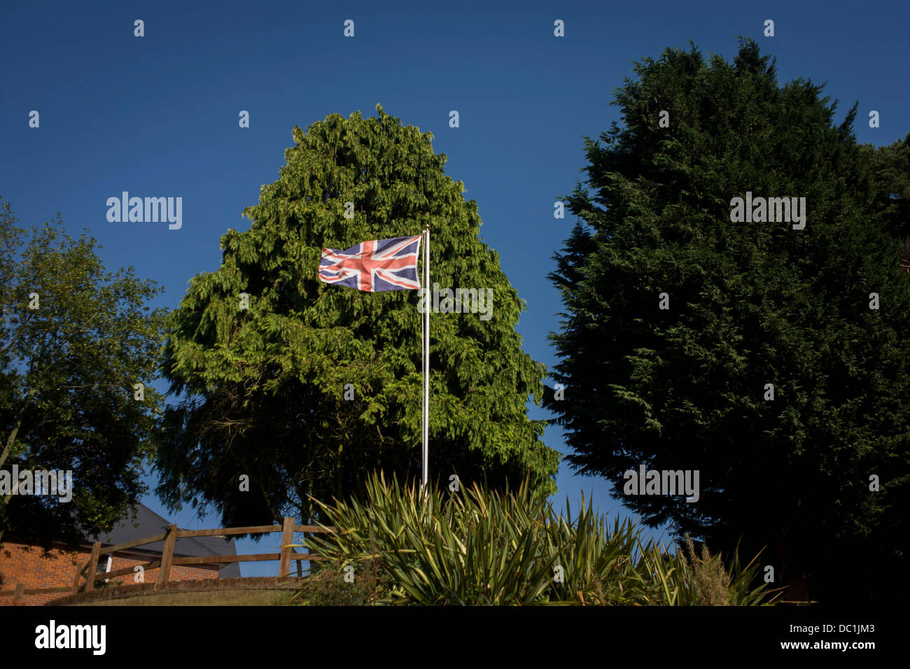 Union Jack flying proudly in front of tall Leylandii trees in a garden at Horning on the Norfolk Broads (more caption in Description ..). Stock Photo