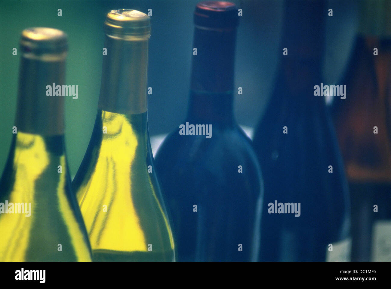 Lined up wine bottles Stock Photo Alamy