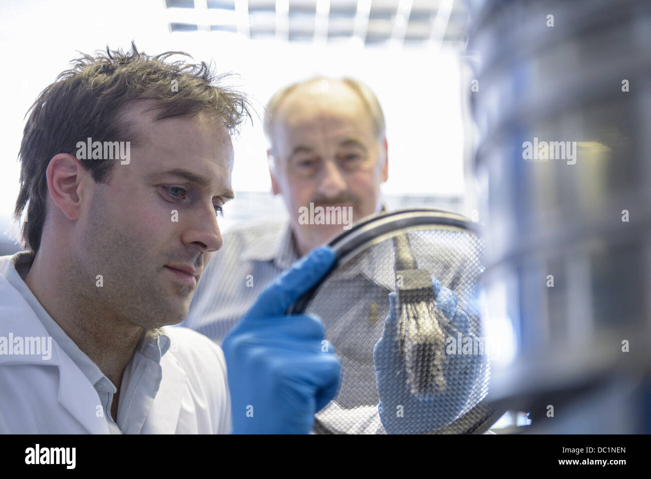 Scientist carefully brushing metal sieve Stock Photo