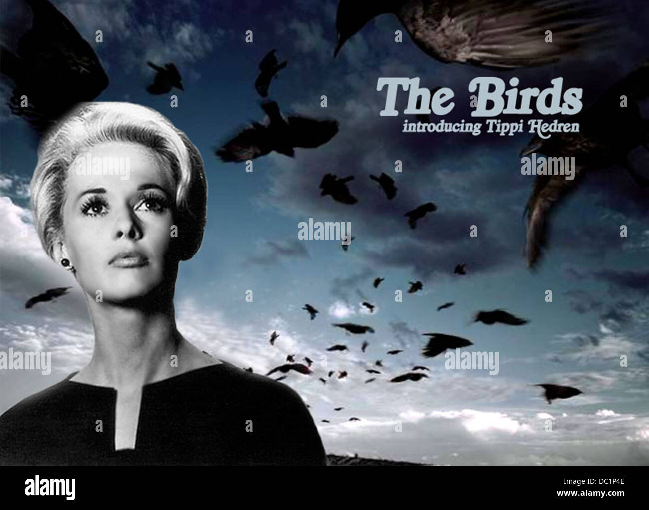 THE BIRDS (1963) TIPPI HEDREN ALFRED HITCHCOCK (DIR) 0105 MOVIESTORE COLLECTION LTD Stock Photo