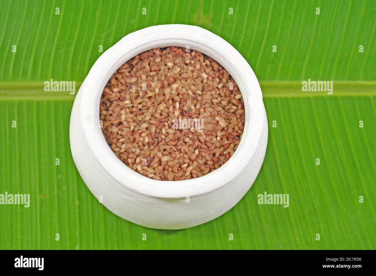 Bachelor's Pot Rice a pot of rice Stock Photo - Alamy