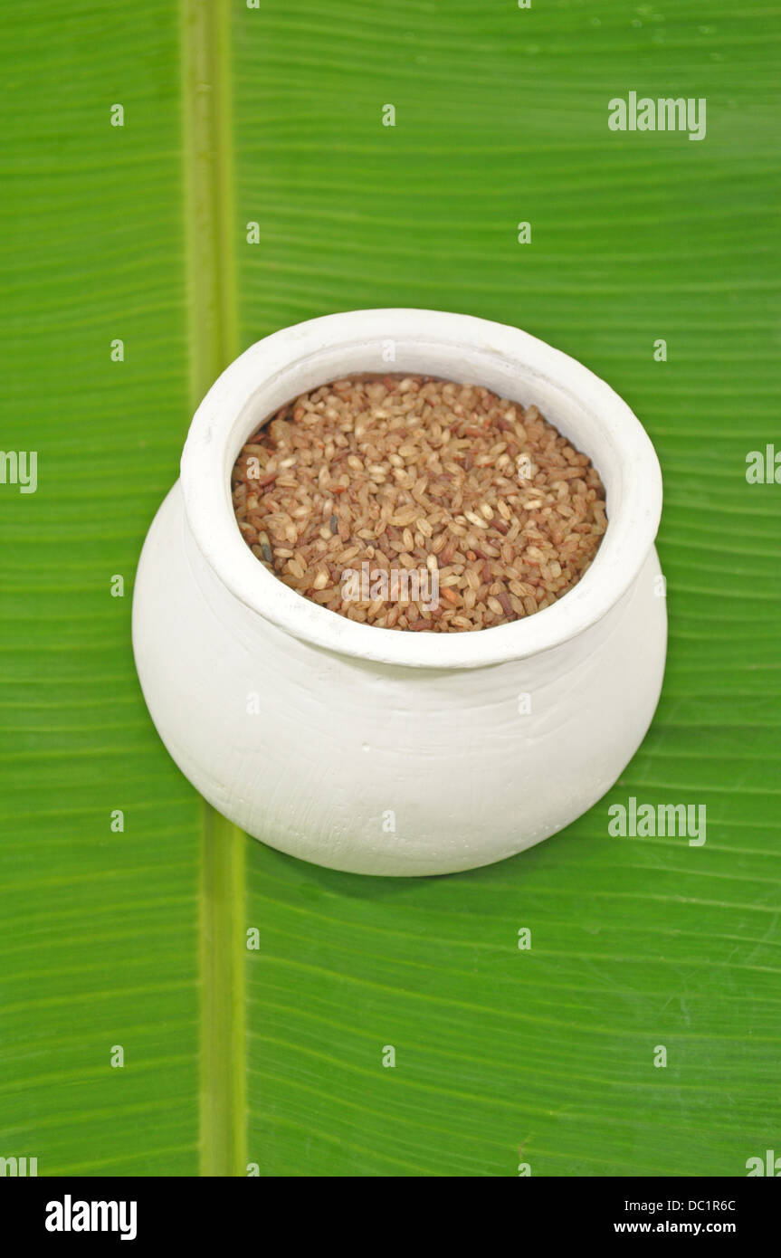 Bachelor's Pot Rice a pot of rice Stock Photo - Alamy