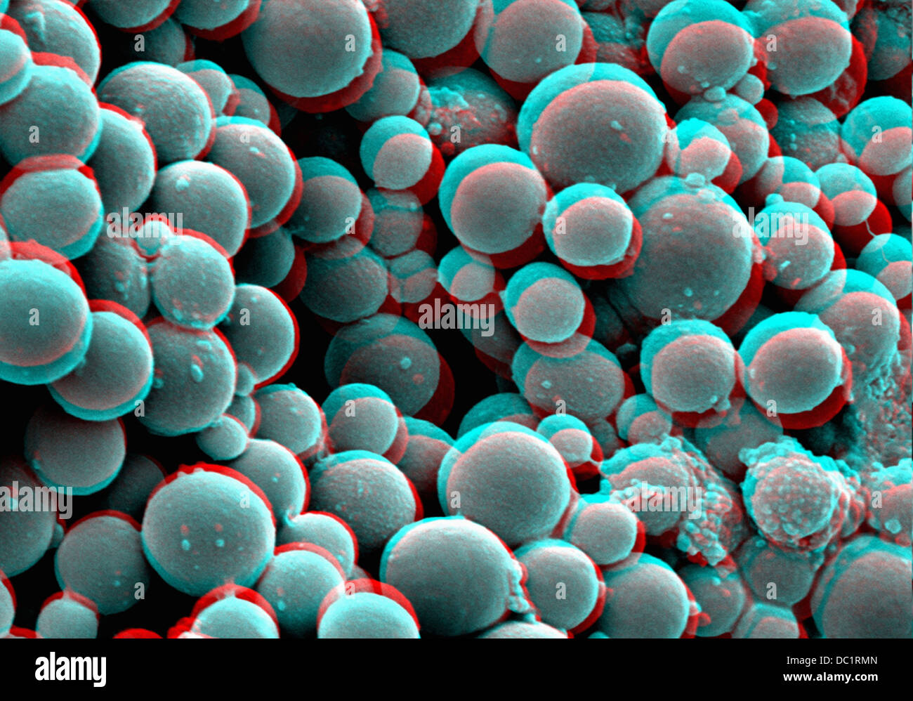 3D SEM image of moth balls, 8 degree tilt Stock Photo Alamy
