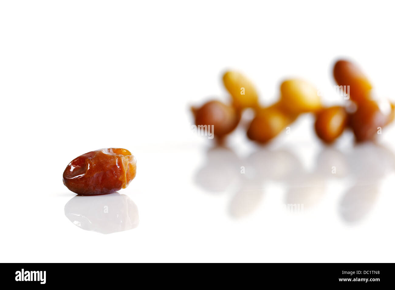 Dates are the fruit of celebration and Islam especially during Ramadan Stock Photo