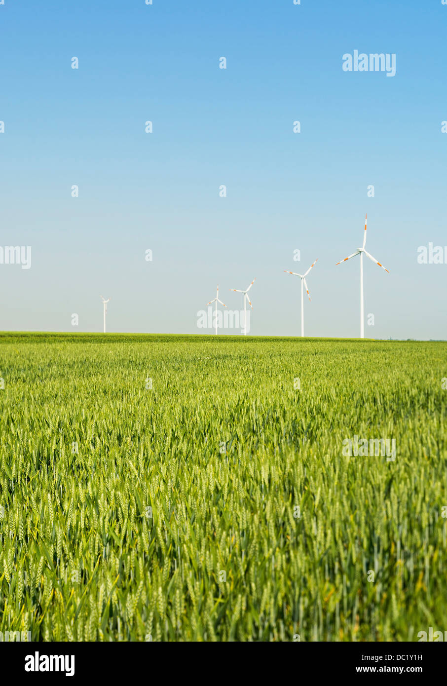 Wind turbines, Selfkant, Germany Stock Photo