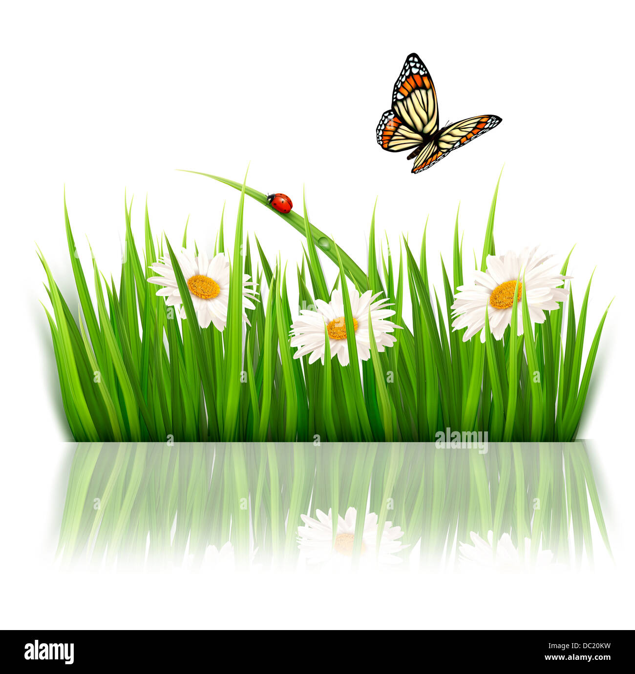 Nature background with green grass and flowers Vector Stock Photo - Alamy