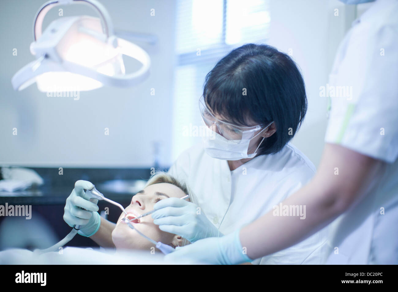 Female dentist checking patients teeth Stock Photo Alamy