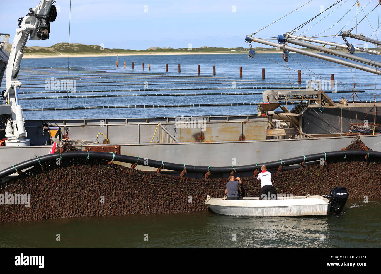 Mussel shellfish fishing boat ship hires stock photography and images