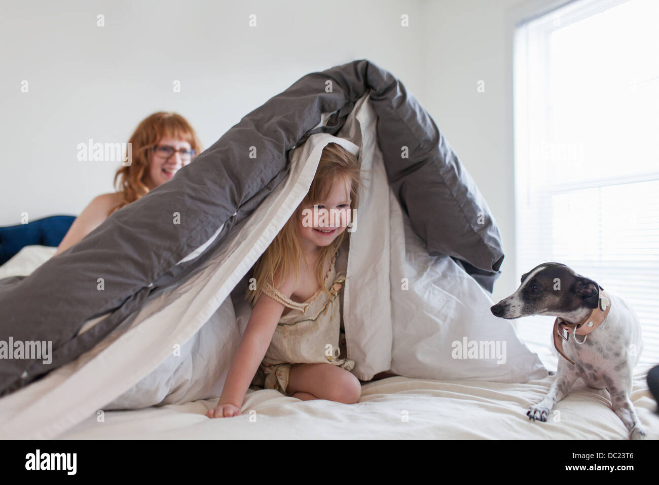 Girl hiding under duvet, mother and dog on bed Stock Photo