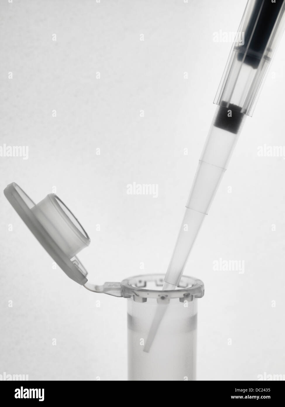 Pipette and eppendorf vials Stock Photo