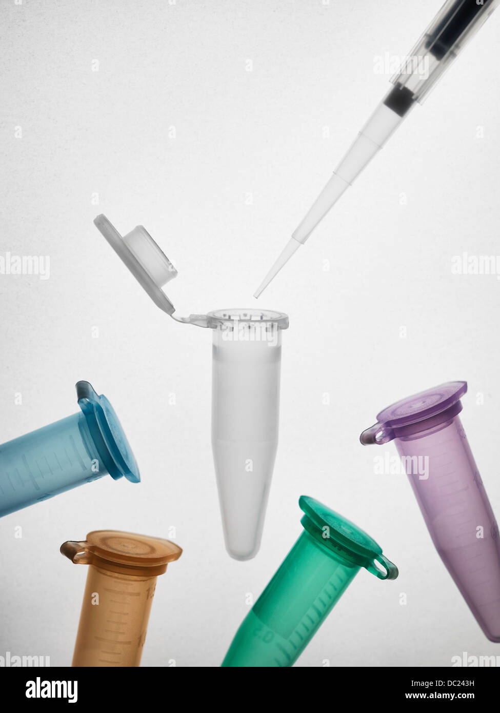 Pipette and eppendorf vials Stock Photo Alamy