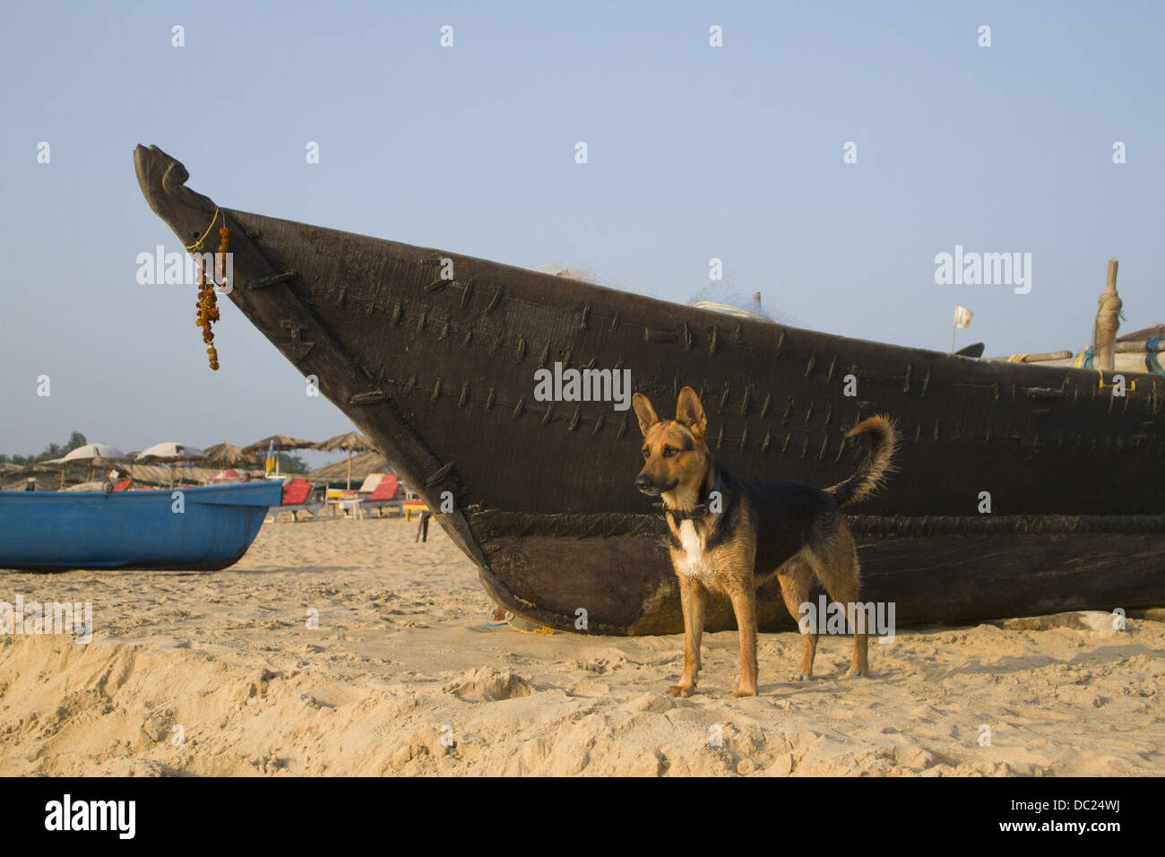 India north goa fishing boat hi-res stock photography and images - Alamy