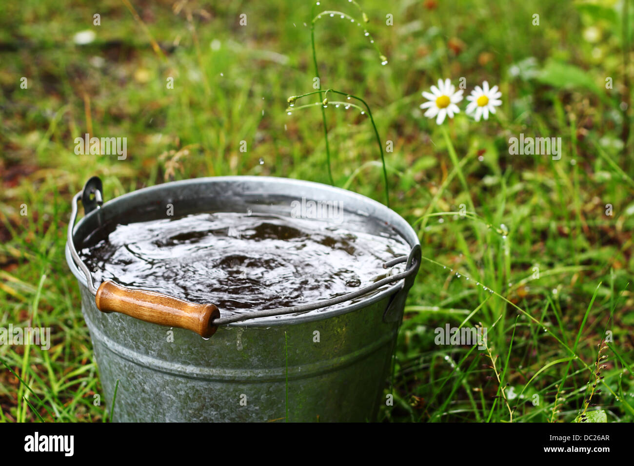 Bucket with rain water outdoors Stock Photo