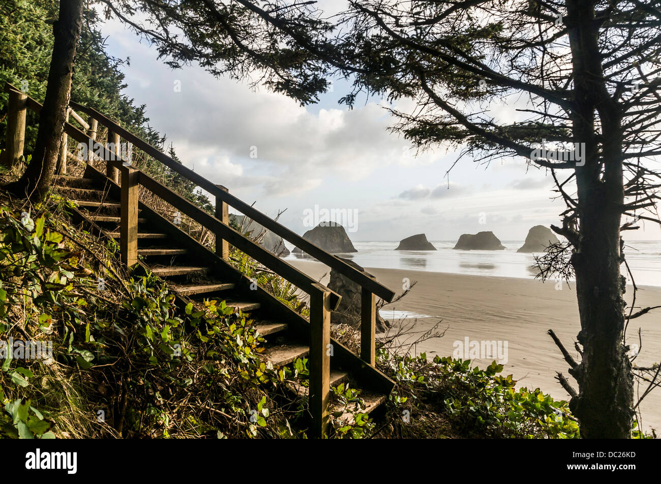 Trail and stairway down to the beach in Ecola State Park on the Oregon Coast near Cannon Beach, Oregon. Stock Photo