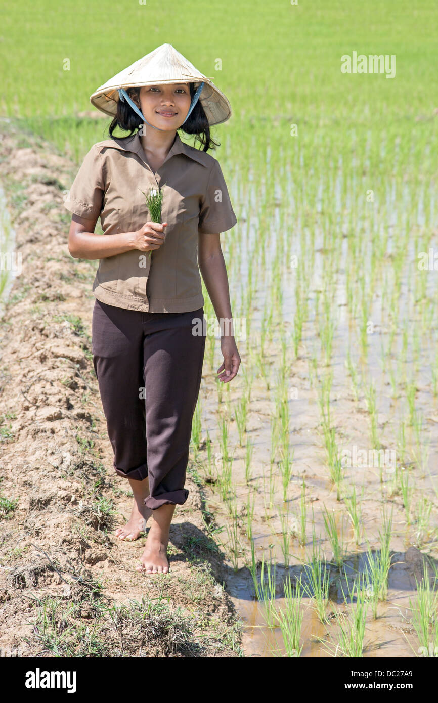 young Asian farmer in the rice field Stock Photo