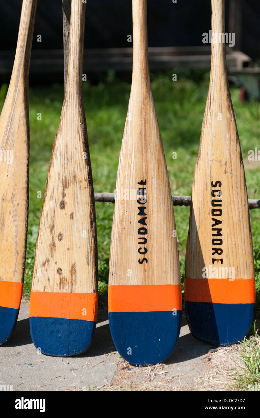 Oars lined up in a row at Scudamore's boatyard Cambridge UK Stock Photo