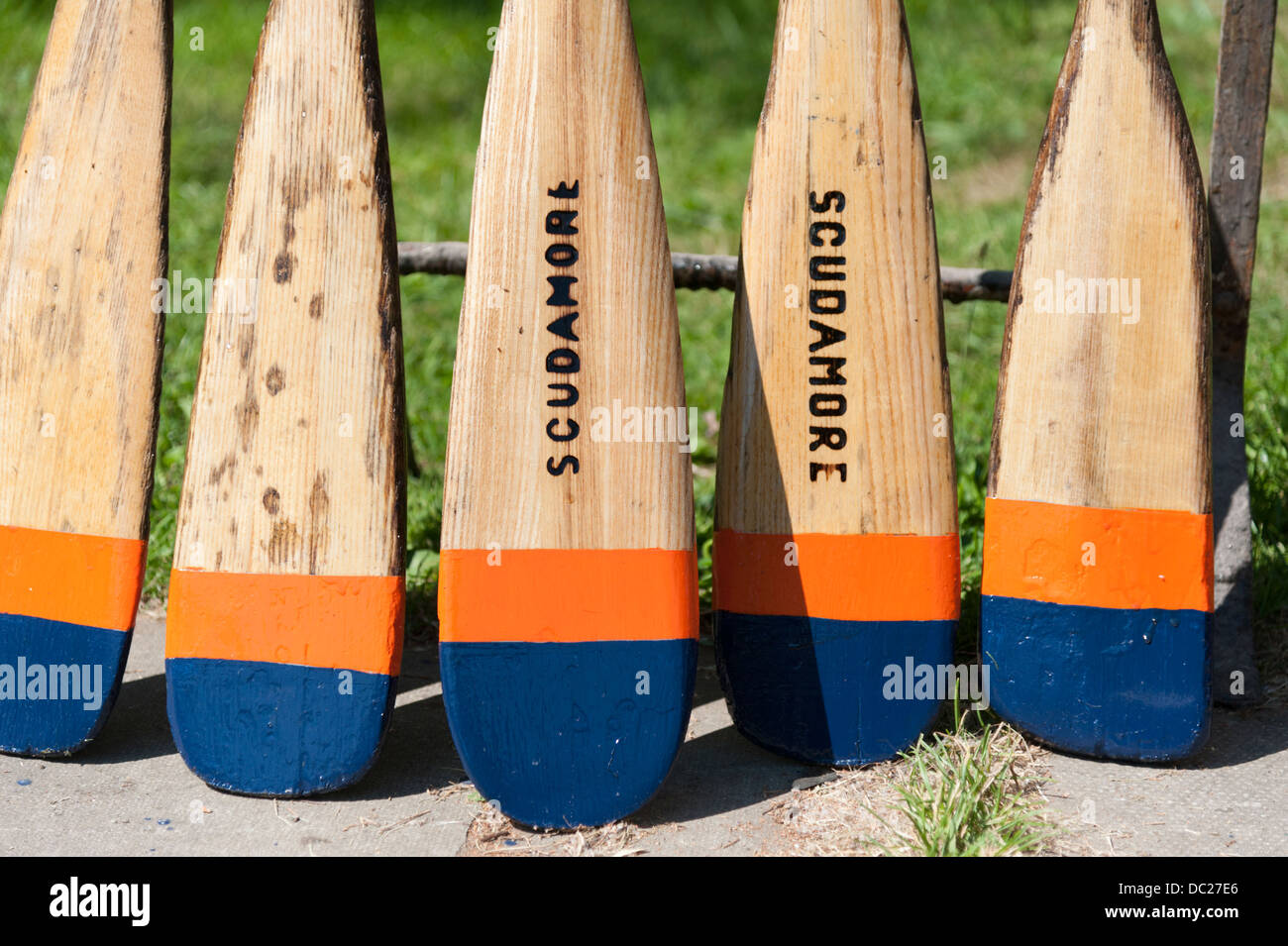 Oars lined up in a row at Scudamore's boatyard Cambridge UK Stock Photo