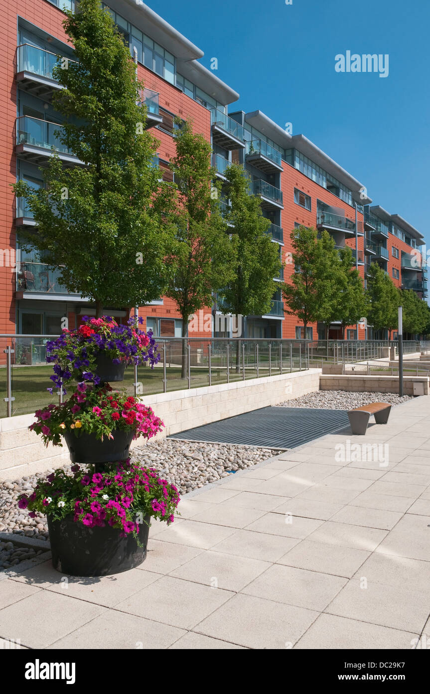 Modern apartments in Waterfront district, Ipswich, Suffolk, UK Stock Photo Alamy