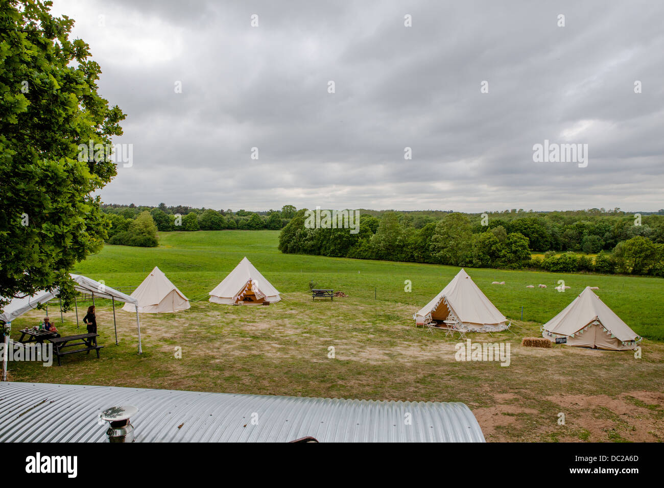 Bell tents in camping field Stock Photo