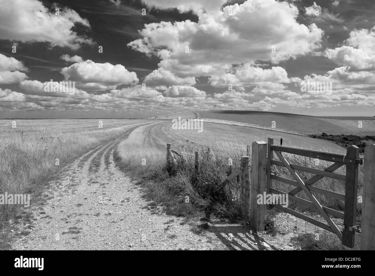 Landscape view of the South Downs Way leading to Castle Hill Nature Reserve, East Sussex, England, Uk ( Black and white ) Stock Photo