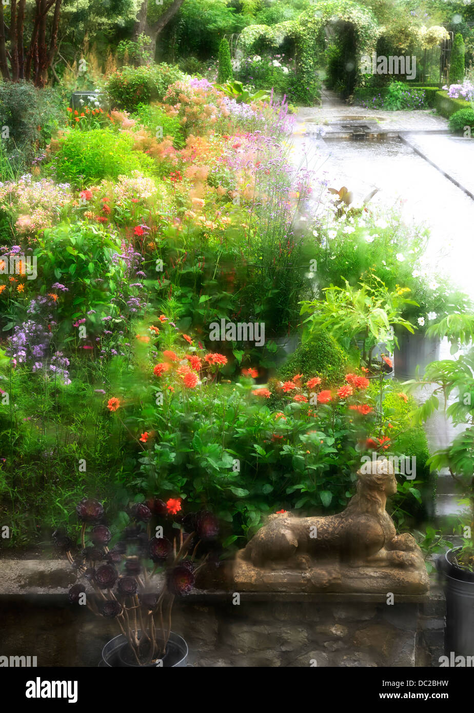 The Dillon Garden Sandford Road Dublin Herbaceous Border perennials lush planting scheme summer view looking through rain Stock Photo