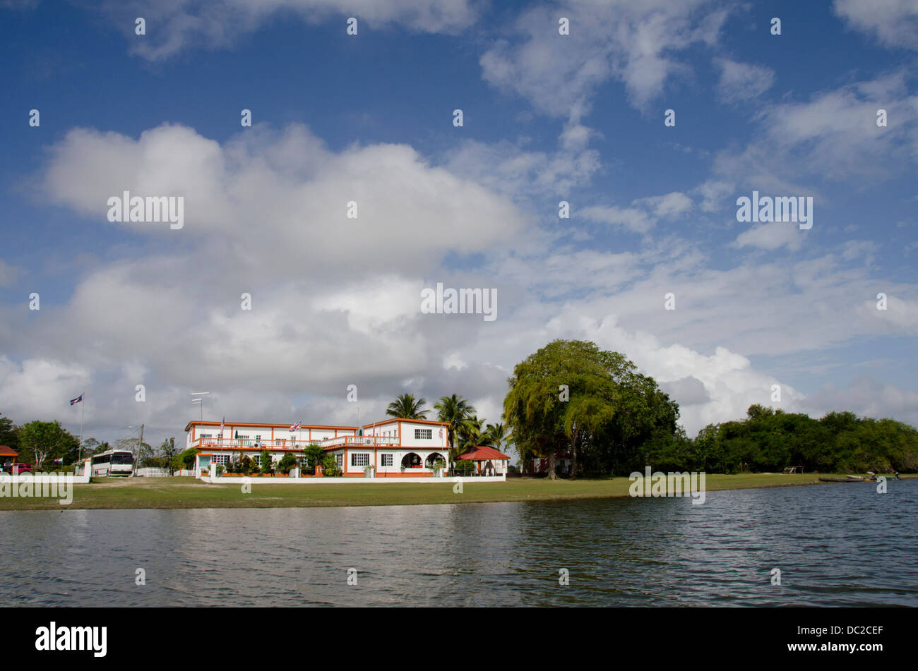 Belize, Crooked Tree Wildlife Sanctuary. Bird's Eye View Lodge Stock
