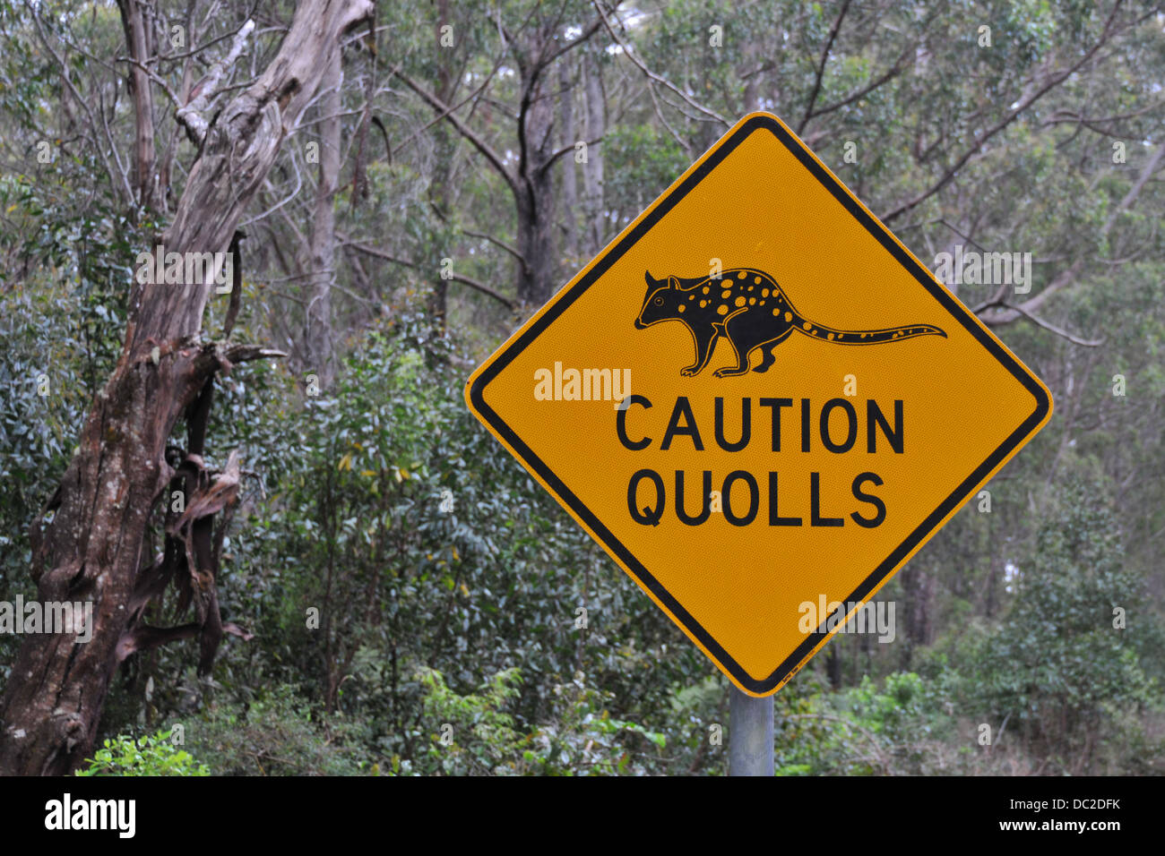 road sign in quoll habitat in Northern New South Wales, Australia Stock Photo