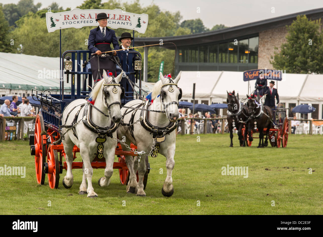 Heavy horses displaying at the Bakewell Show, Derbyshire Stock Photo
